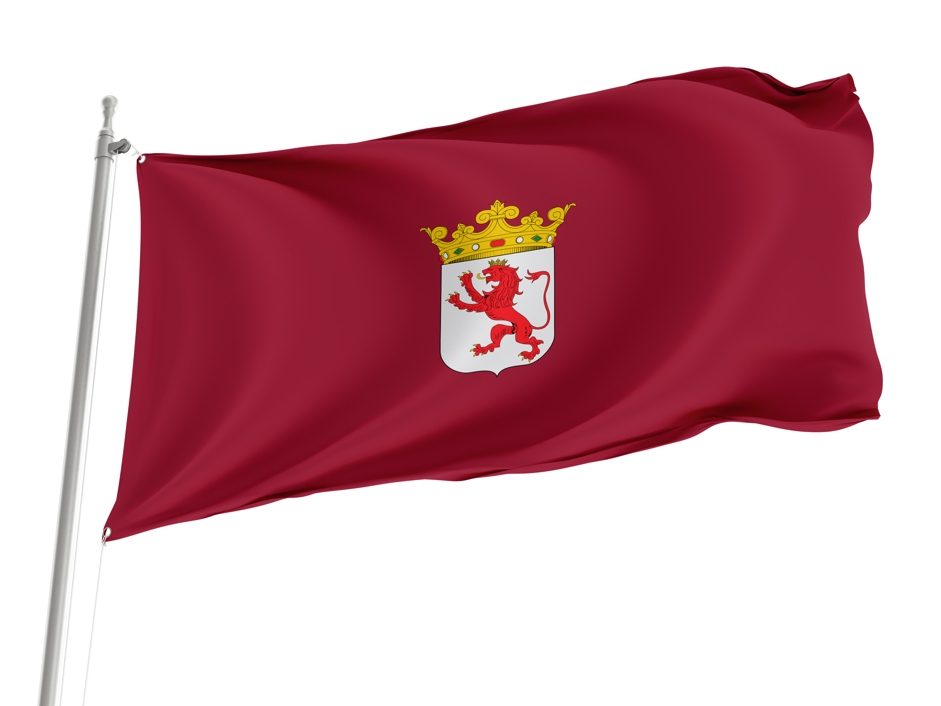 Province of León Flag for Indoor & Outdoor Use