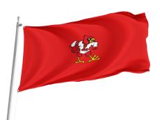 Louisville Cardinals Flag for Indoor & Outdoor Use
