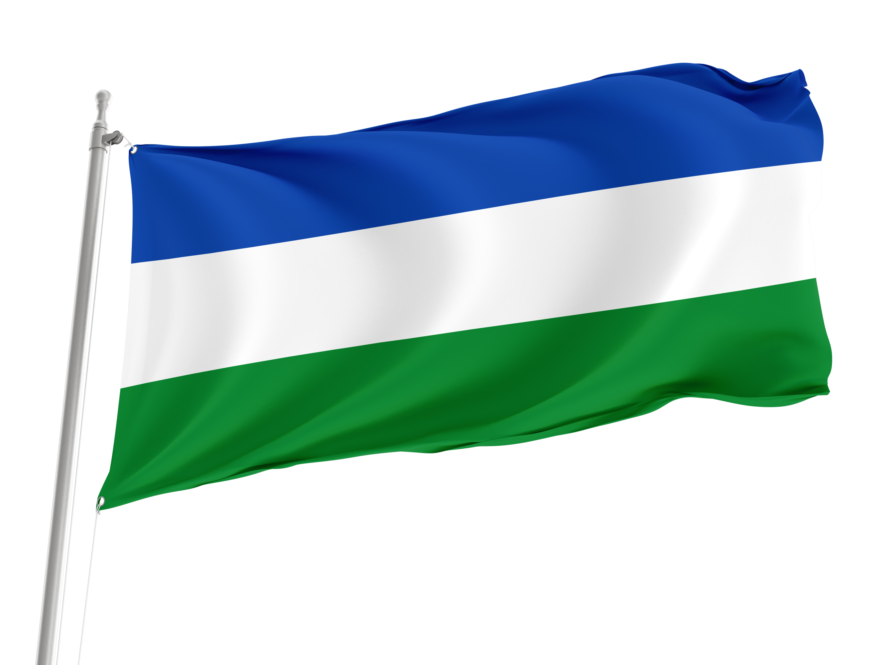 Carmena Flag for Indoor & Outdoor Use