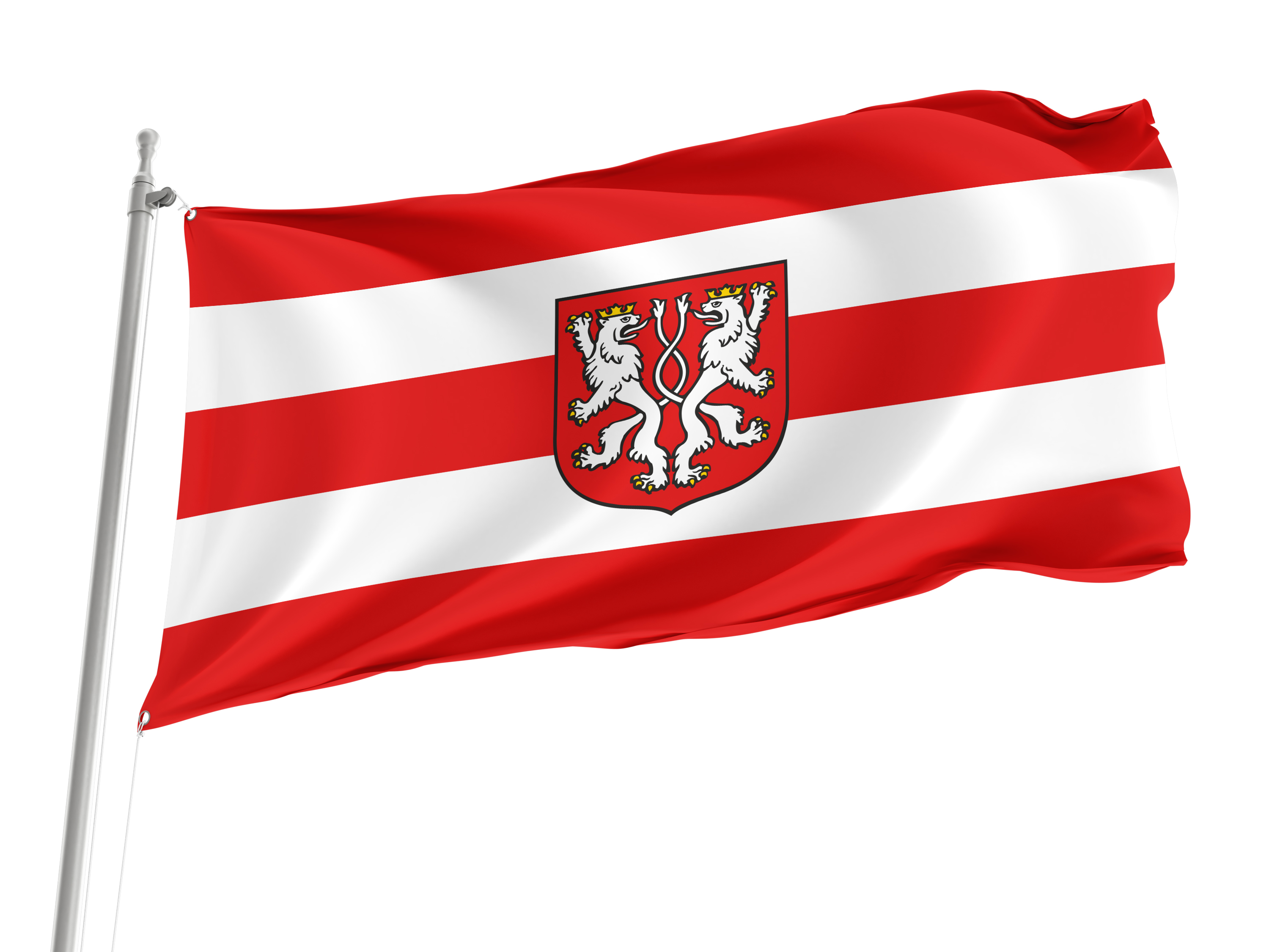 Katy Wroclawskie Flag for Indoor & Outdoor Use