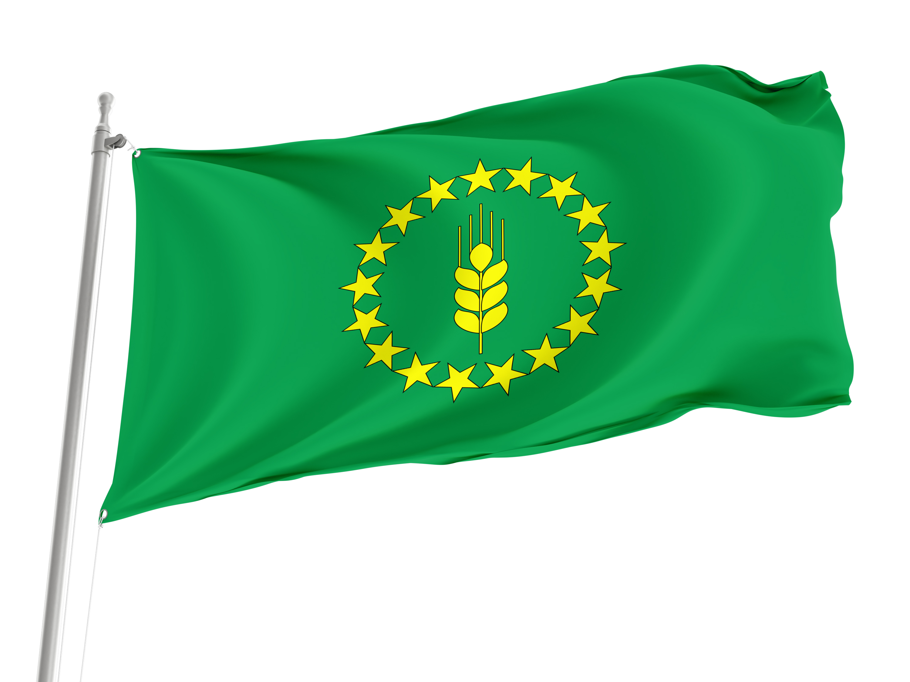 Shostka Flag for Indoor & Outdoor Use