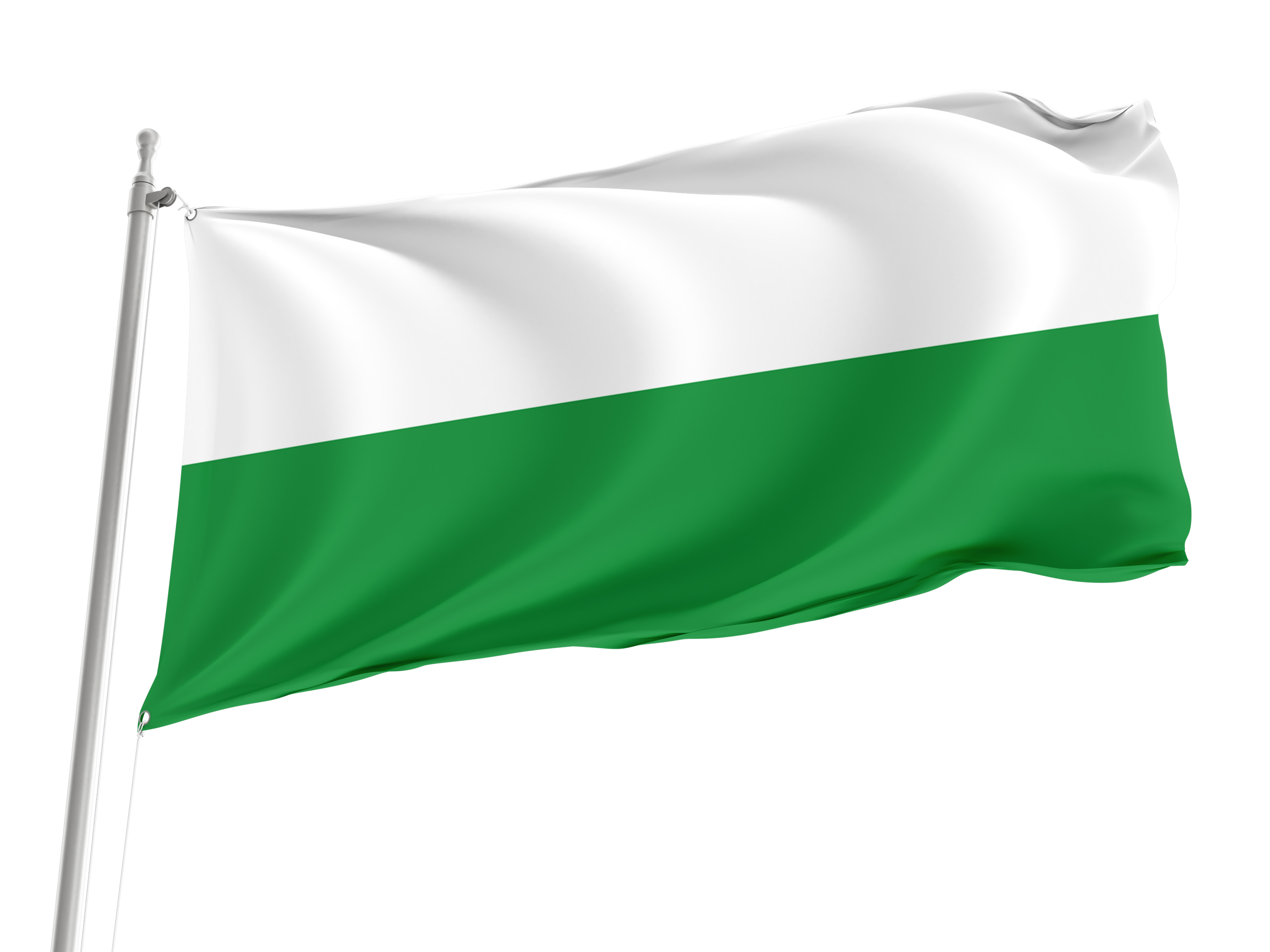 Aguarico Flag, Unique Design Print
