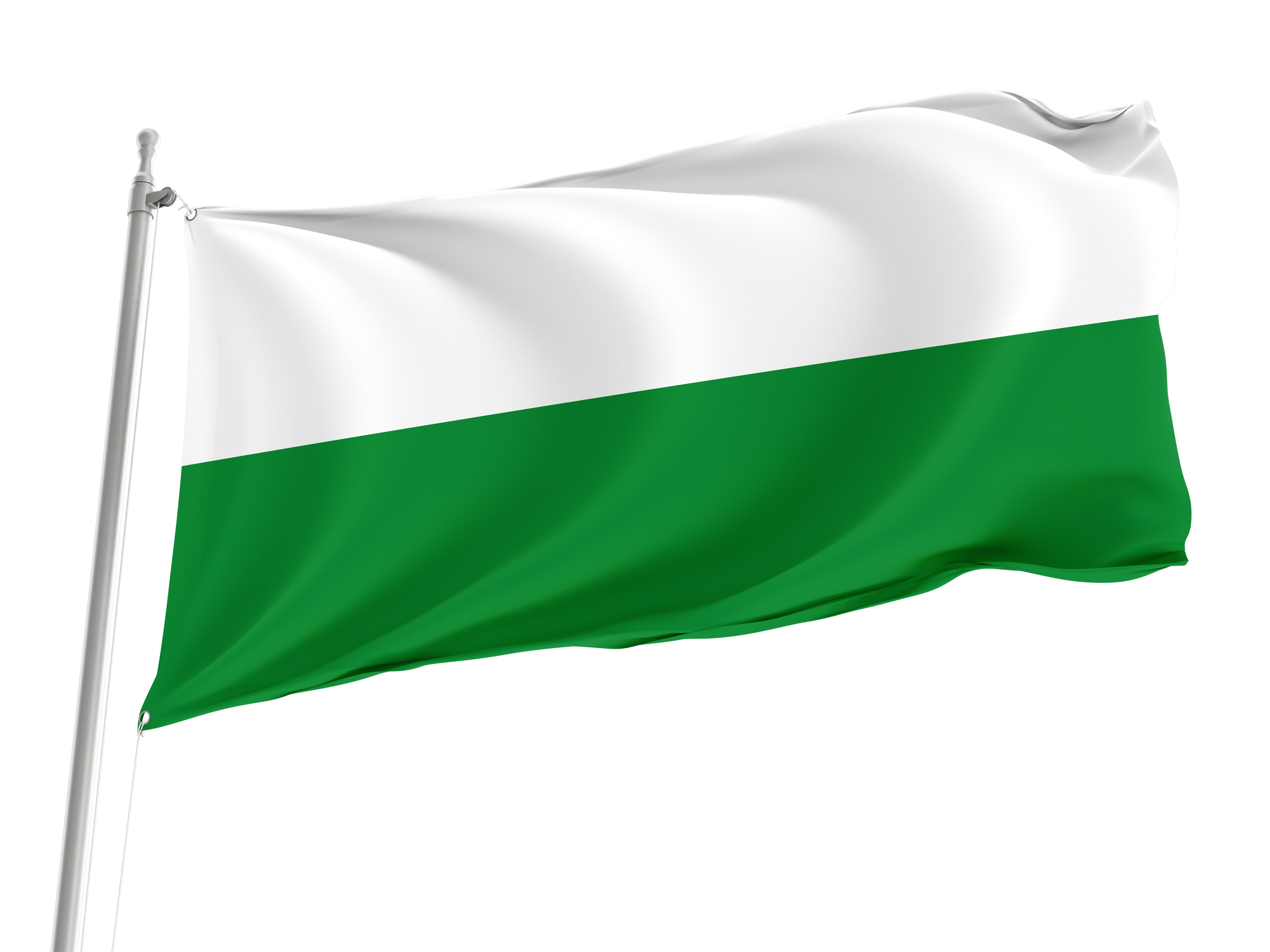 Flimango Flag, Unique Design Print