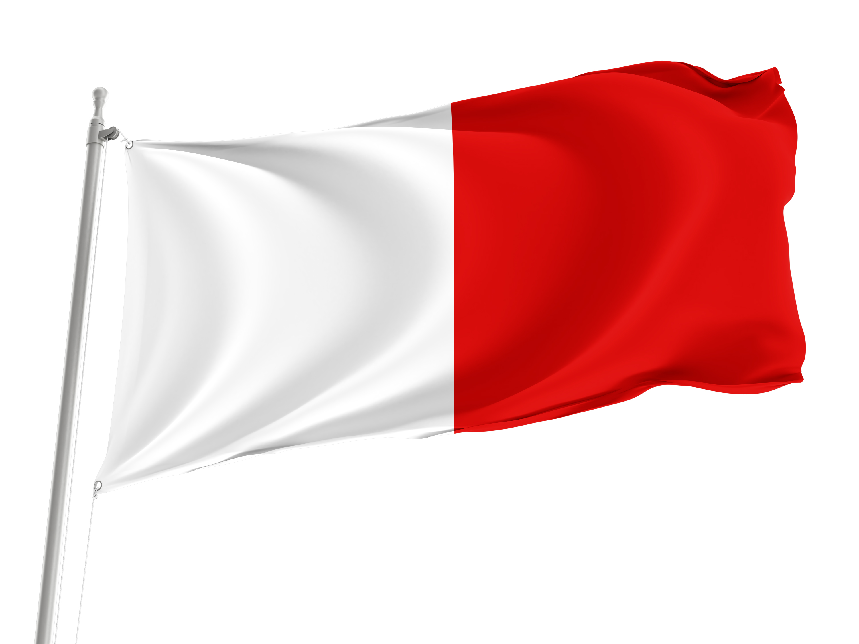Bari Flag for Indoor & Outdoor Use