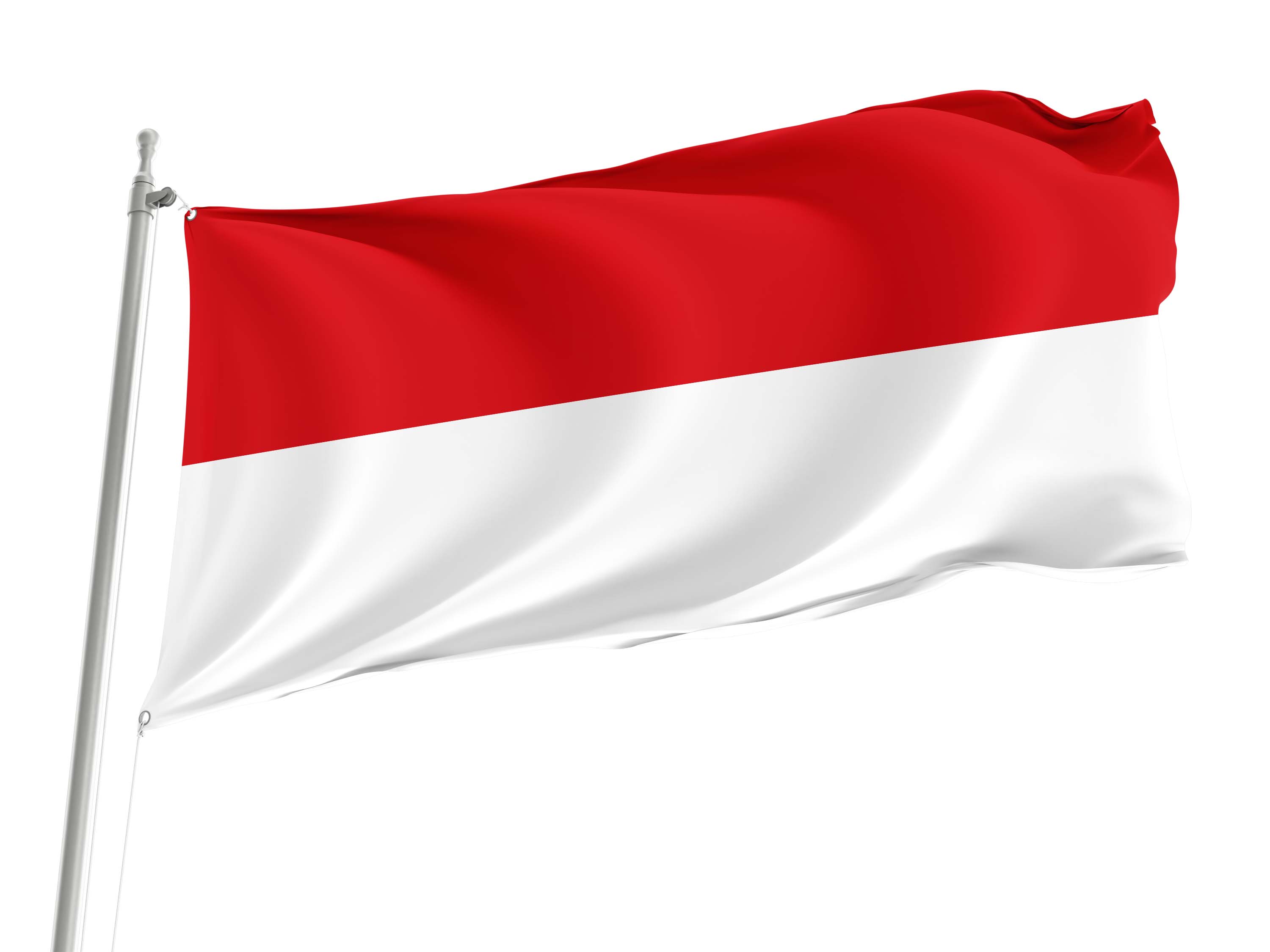 Vienna Flag for Indoor & Outdoor Use