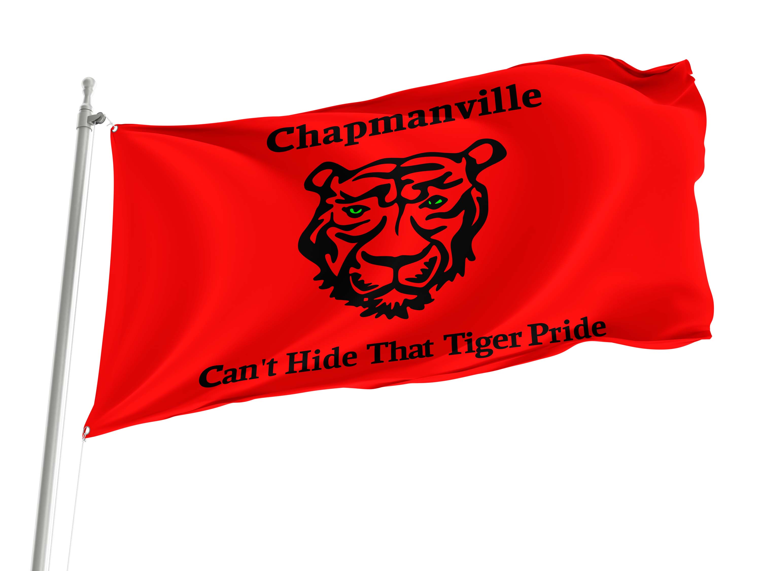 Chapmanville (2008-2022) Flag for Indoor & Outdoor Use