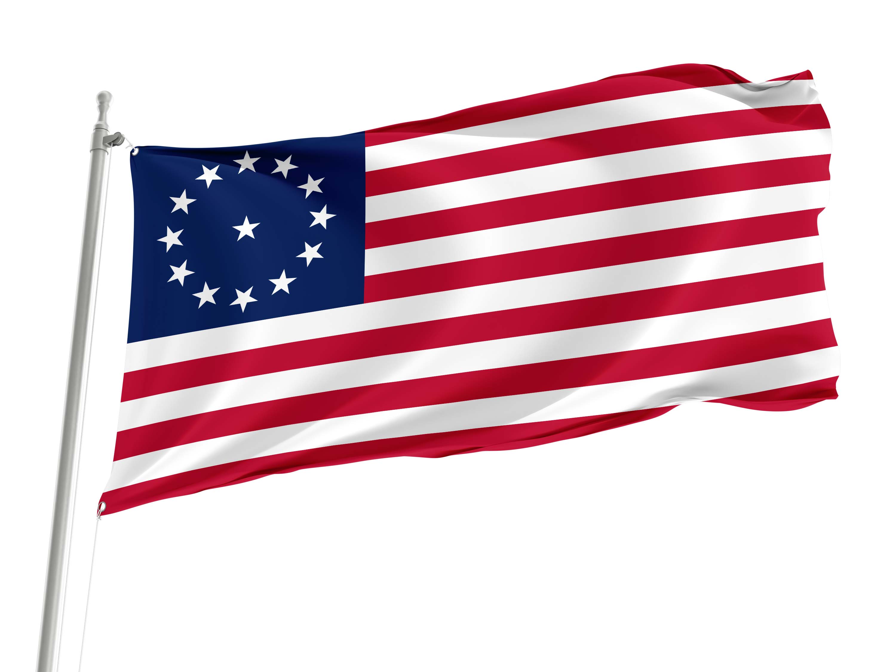 Cowpens Flag for Indoor & Outdoor Use