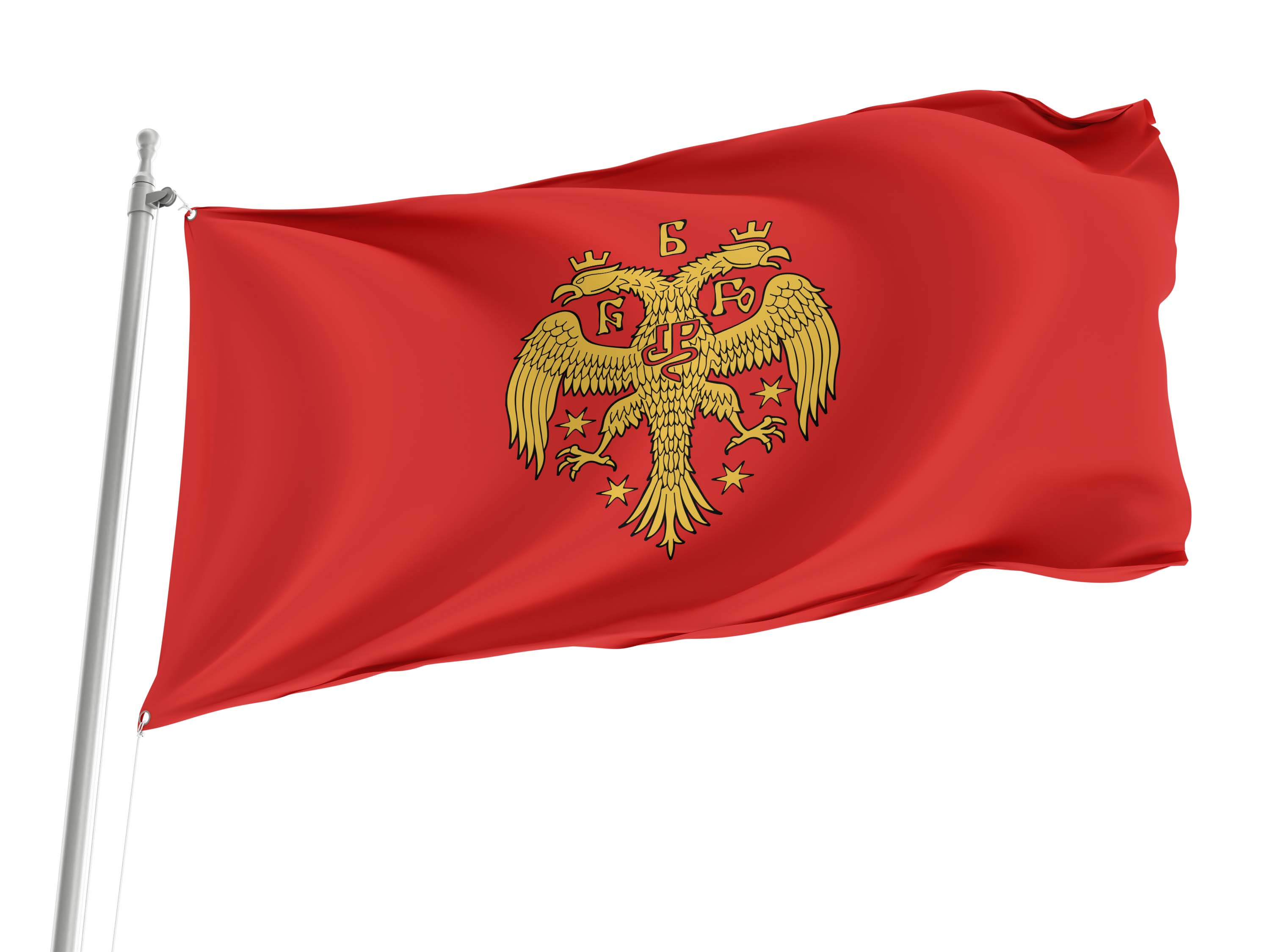 Zeta 1356-1421 Flag for Indoor & Outdoor Use
